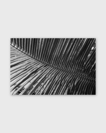Louver