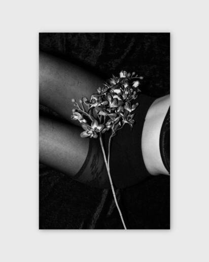 Plastic & Leather