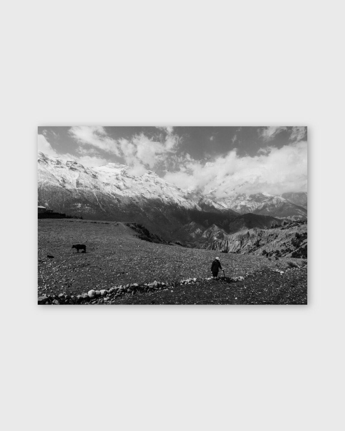 Guarding Annapurna